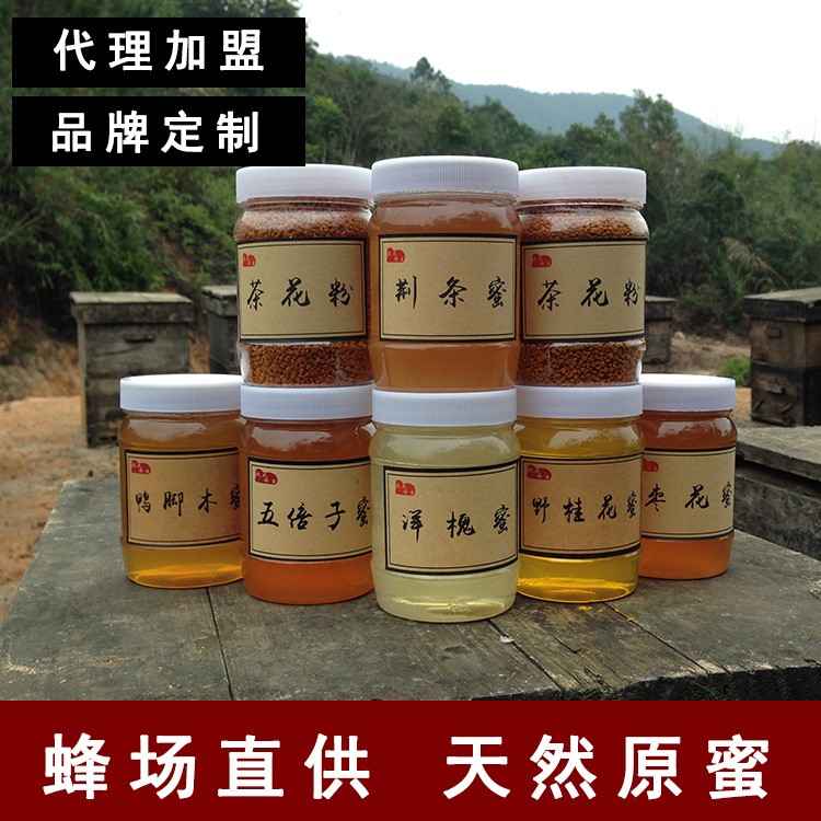 蜂場直銷天然蜂蜜批發oem貼牌瓶裝500g野生蜂蜜荔枝龍眼蜜百花蜜