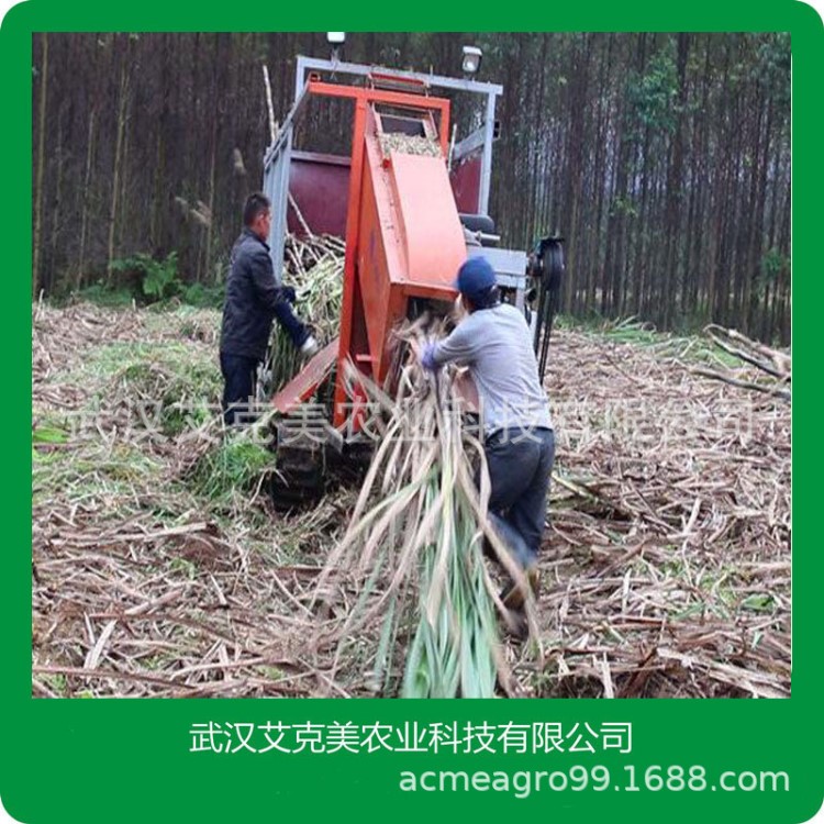 甘蔗剥叶机直销自走式甘蔗剥叶机去叶机甘蔗削叶机小型甘蔗剥叶机