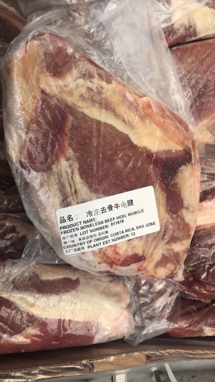 哥斯達黎加12廠牛龜腱丨冷凍牛腱火鍋醬牛肉鹵牛腱食材