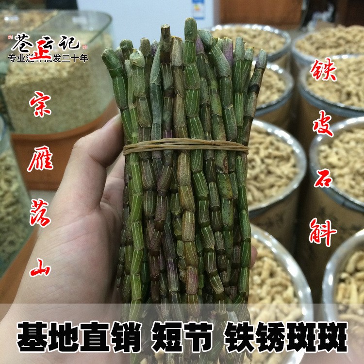 種植基地批發(fā)鐵皮石斛鮮條 楓斗 節(jié)短 銹斑斑 膠質(zhì)豐富