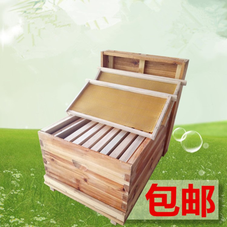 蜜蜂养殖中蜂蜂箱十框标准杉木烘干养蜜蜂箱养蜂工具全套厂家批发