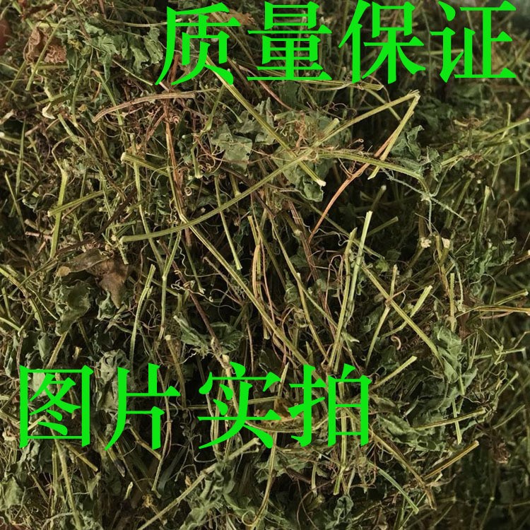 絞股藍(lán)茶葉 原生態(tài)絞股藍(lán)中藥材 保健茶 七葉絞股藍(lán)批發(fā)1斤裝包郵