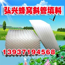供應雞西蜂窩斜管(填料) 南陽蜂窩斜管填料