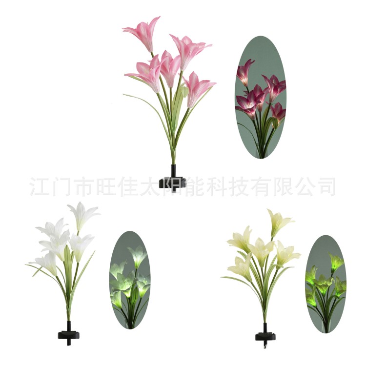 2019年新款太陽(yáng)能百合花燈5LED百合太陽(yáng)能花園燈百合花朵一手工廠