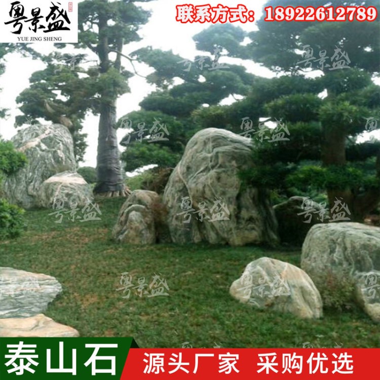 泰山石原石大型自然園林景觀石頭公園學(xué)校文化石盆景駁岸觀賞石