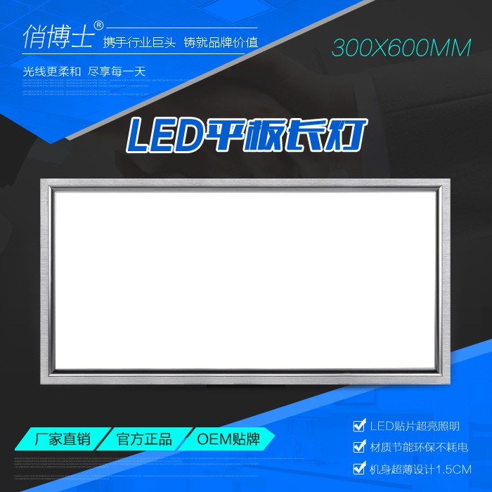 平板灯300600 LED侧发光长灯 超薄厨卫灯 俏博士【批发供应】