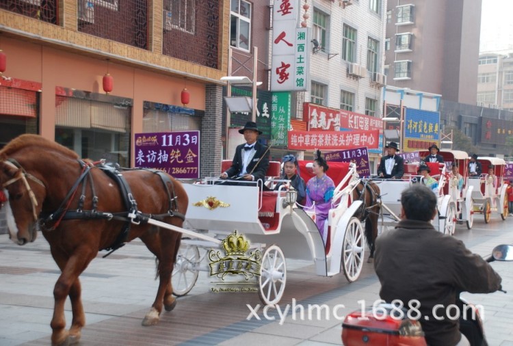 全洲.盛世地產、英皇馬車展、歐式馬車、西洋馬車、英式馬車