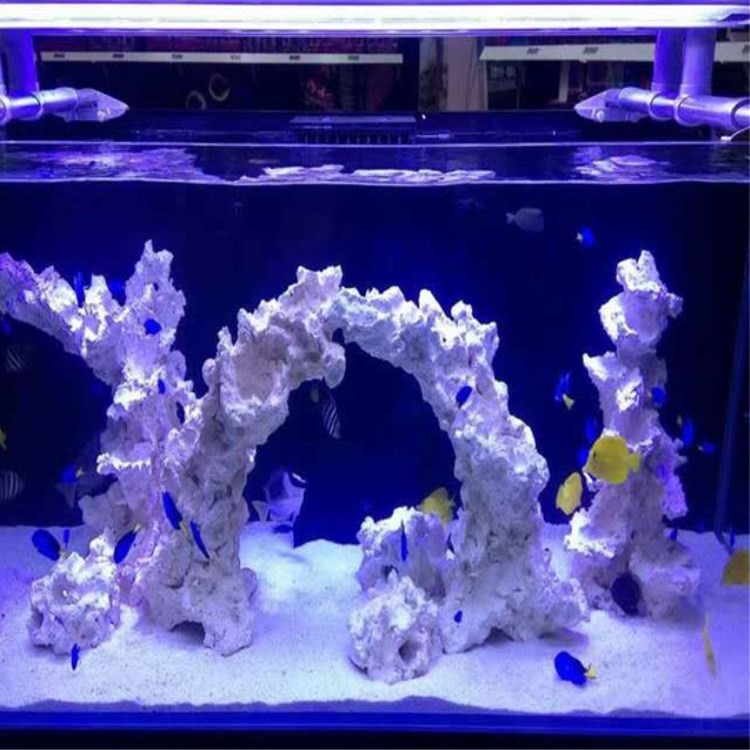 厂家直销 菲律宾沙 贝壳砂 造景沙 珊瑚沙 规格水族用品