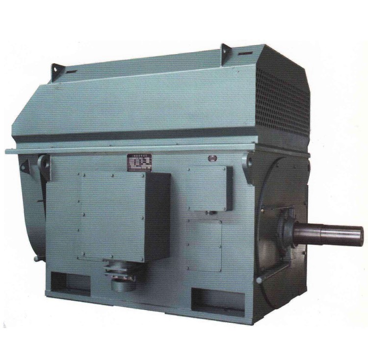 泰富西瑪電機Y5604-8 900KW/10KV/50HZ鼠籠型高壓電機