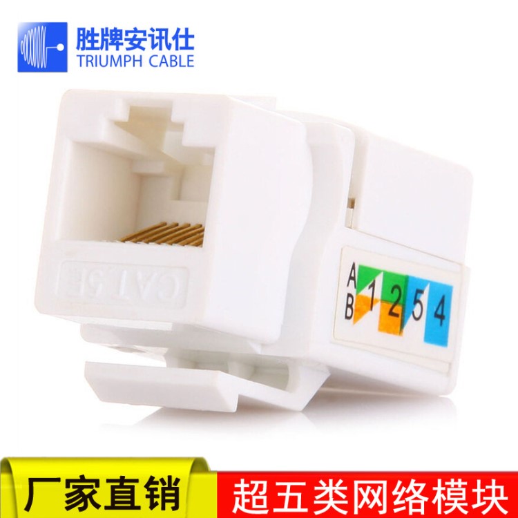 RJ45超五類網(wǎng)絡(luò)信息模塊百兆網(wǎng)線插座模塊 網(wǎng)絡(luò)模塊 信息模塊 axs