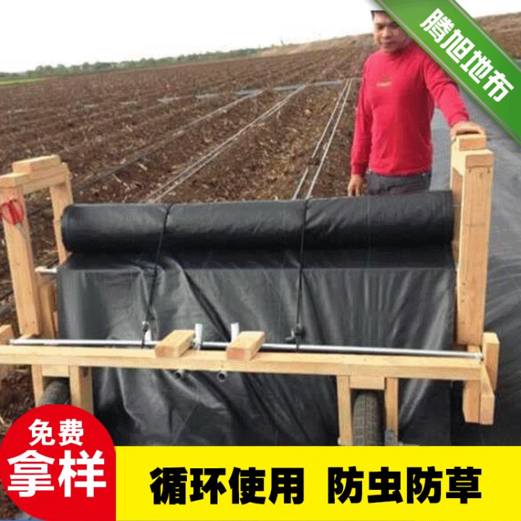 黑色方格編織防草布 大棚工農(nóng)用防草地布 臨沂園藝地布除草布廠家