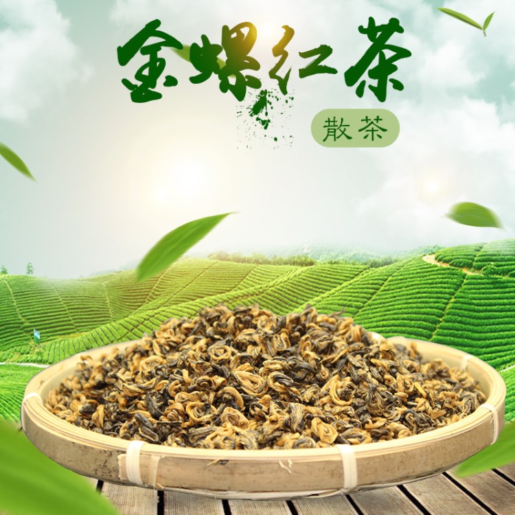 滇紅蜜香金螺 散裝 云南紅茶金芽單芽 功夫茶產(chǎn)地貨源供應(yīng)