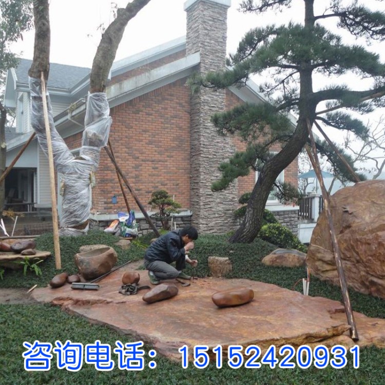 批發(fā)庭院綠植玉龍草 日本矮麥冬草坪苗不含泥 地被植物金邊麥冬