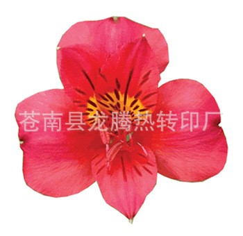 供應(yīng)膠印熱升華轉(zhuǎn)印紙 熱轉(zhuǎn)印紙 （色差?。?
                                                         style=