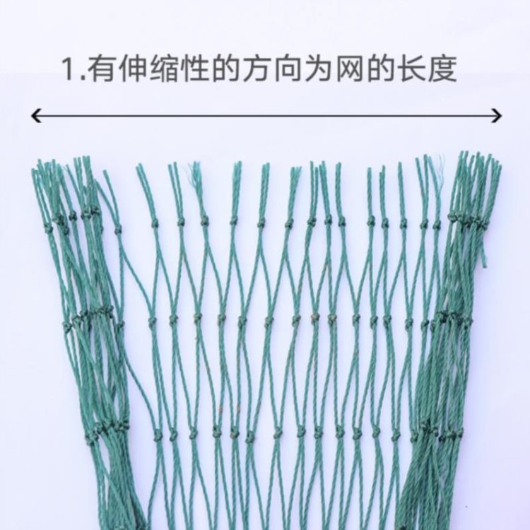 塑料果园农用拦果树鸡拦网网网格尼龙网户外护栏网防鸟网尼龙网子