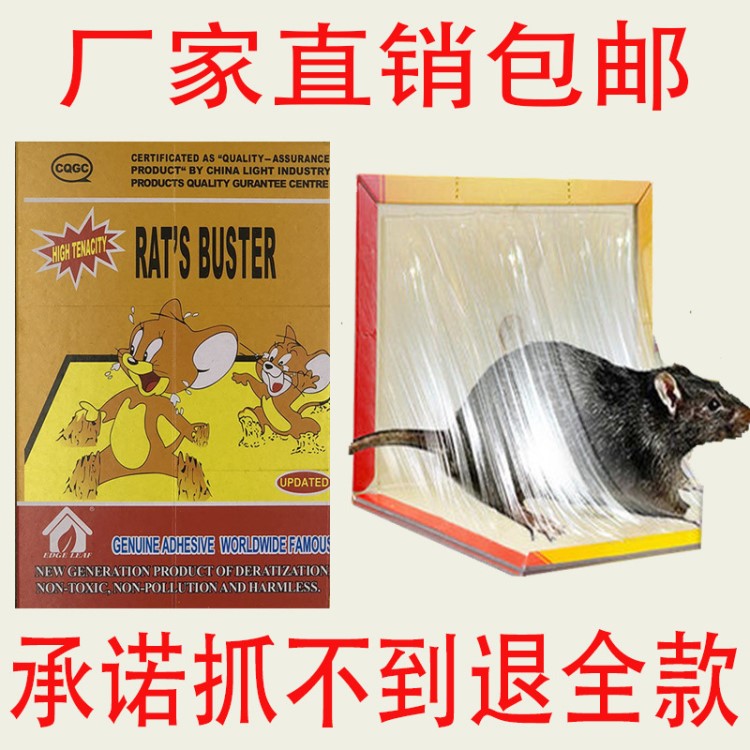 強(qiáng)力粘鼠板北化精品336老鼠貼老鼠膠捕鼠器 無毒含引誘廠家直銷