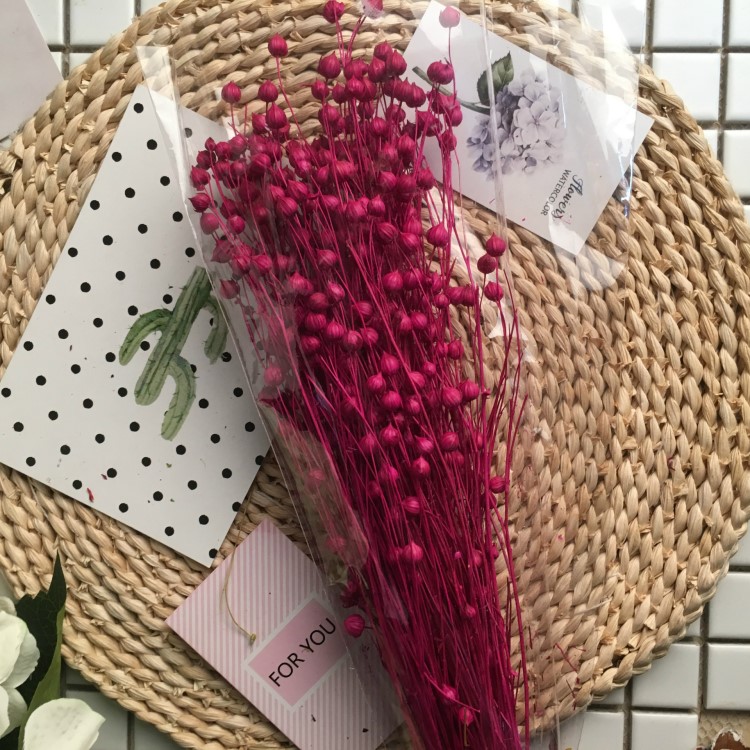 【大扎相思豆】天然干花 家居飾品 富貴豆 小星果 亞麻豆50g左右