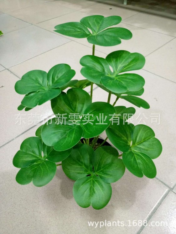 仿真清新三葉草幸運草花藝仿真綠植把束 室內(nèi)桌面小盆景綠植擺件