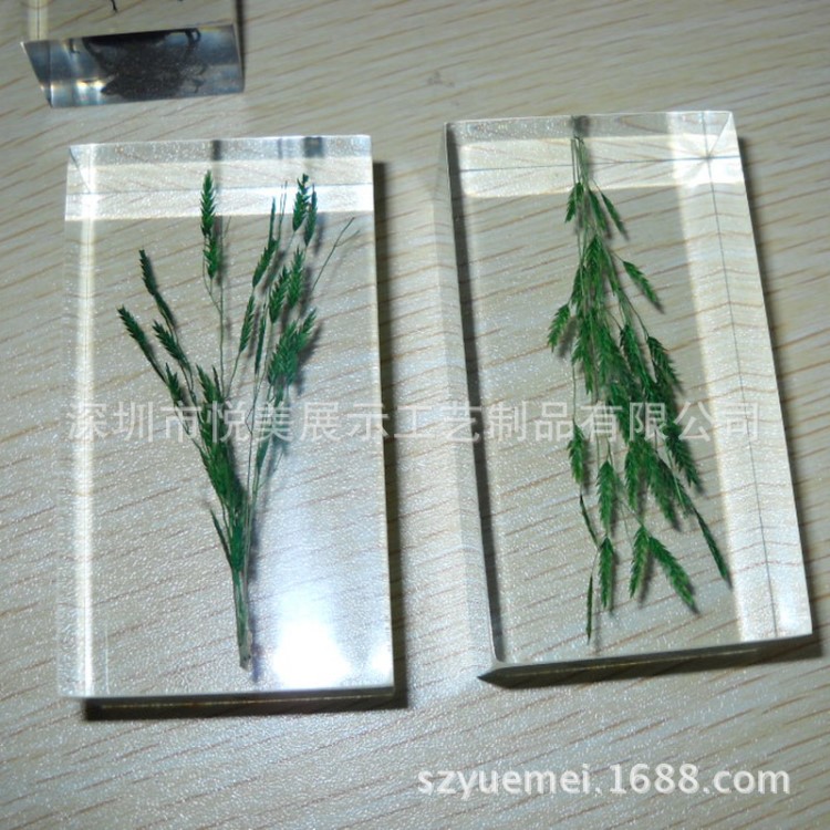 水晶膠內(nèi)埋植物標本 冰封麥穗標本 各種動植物標本內(nèi)埋工藝禮品