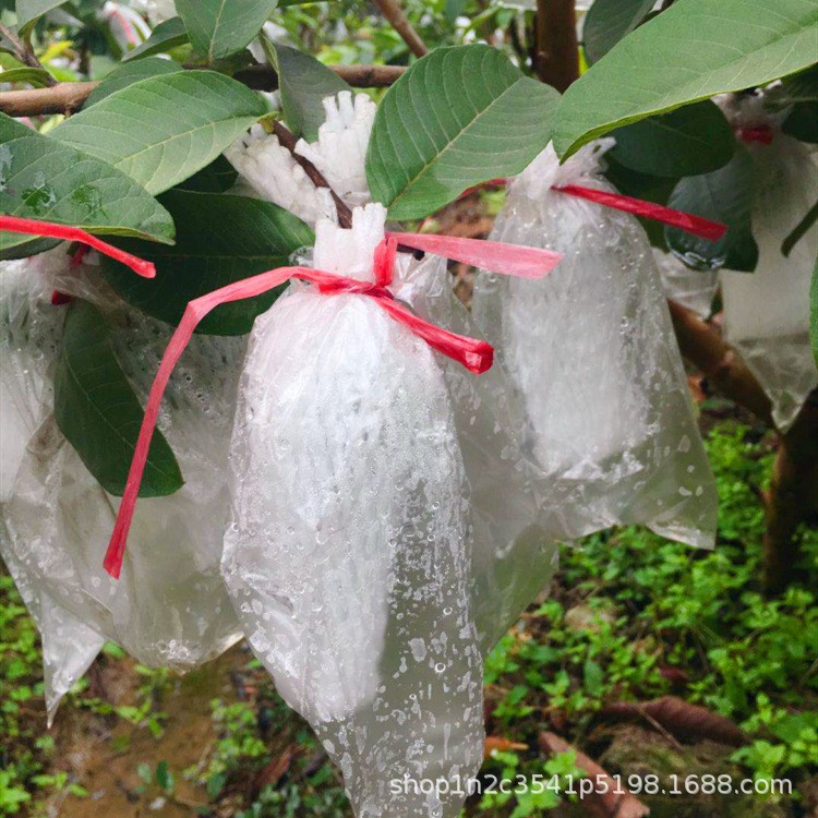 【廠家】PE高低壓平口袋 PE包裝袋 內(nèi)襯包裝 方底四角透明平口袋