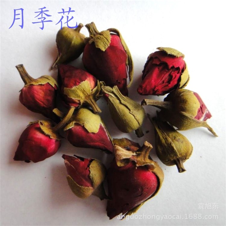 中药材批发 花草茶 供应月季花 散装 量大从优