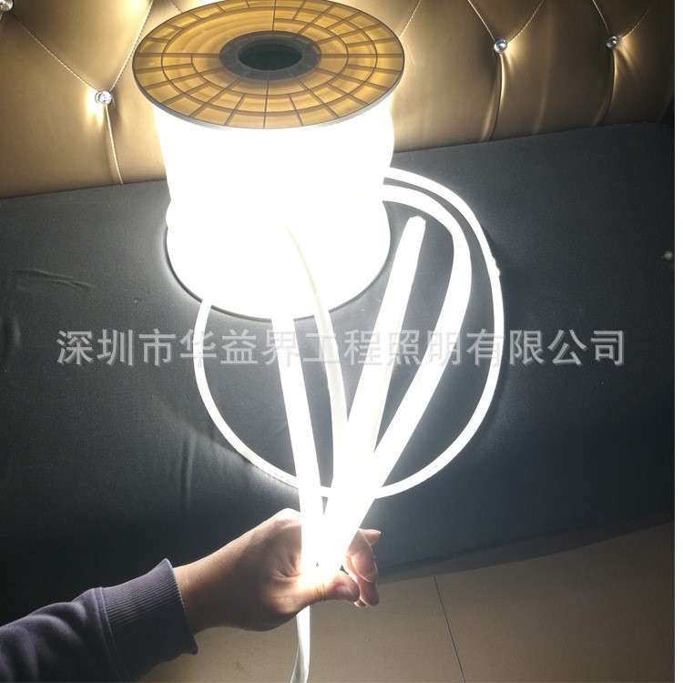 led軟燈帶220V-3038-144D-弧形帶透鏡-金線銅支架-超高亮-帶米標