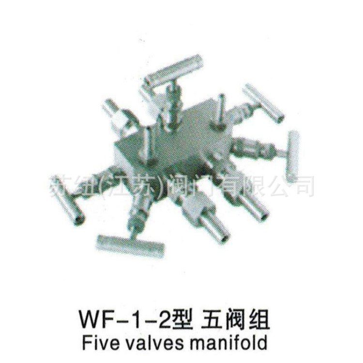 WF-1-2五阀组-6000(PSI）_WF-1-2/6000PSI_不锈钢焊接五阀组