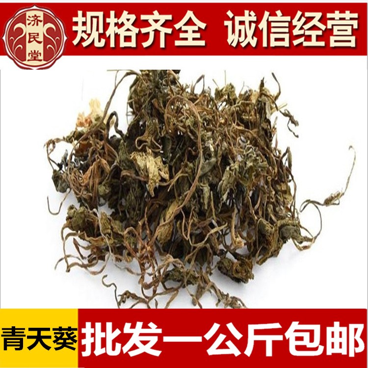 青天葵 天葵 獨(dú)腳天葵 珍珠葉 半邊傘 包郵農(nóng)副產(chǎn)品初加工