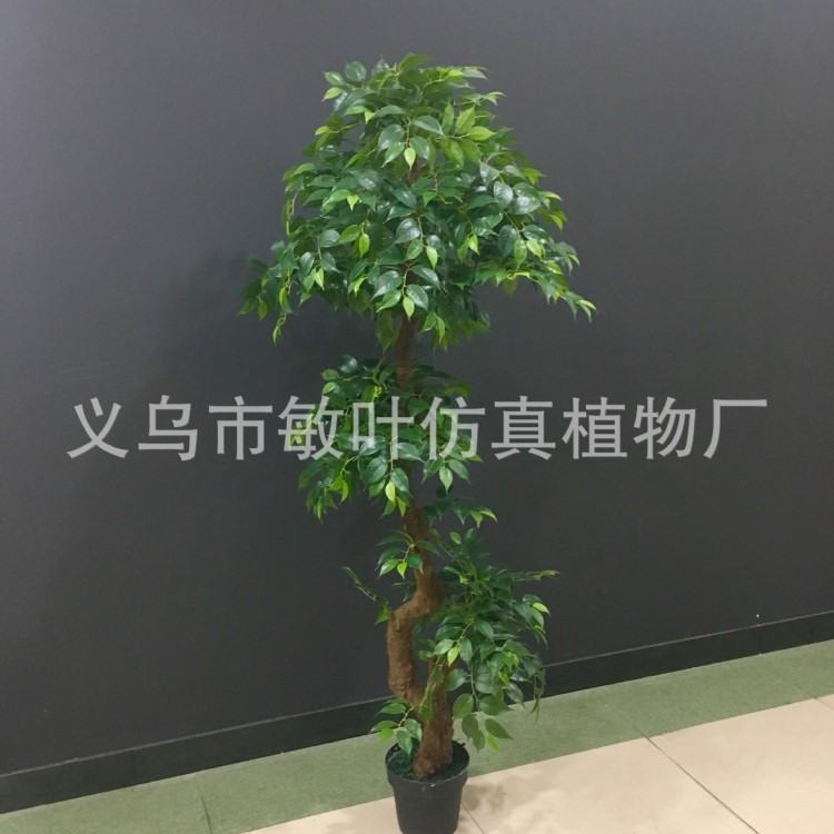 北歐仿真樟樹榕樹發(fā)財樹招財樹室內(nèi)客廳服裝店櫥窗落地盆栽