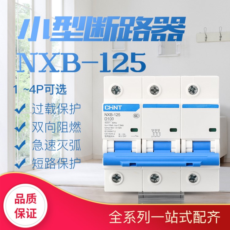 正泰電器昆侖系列NXB-125 1P 2P 3P 4P 大功率小型斷路器空氣開關(guān)