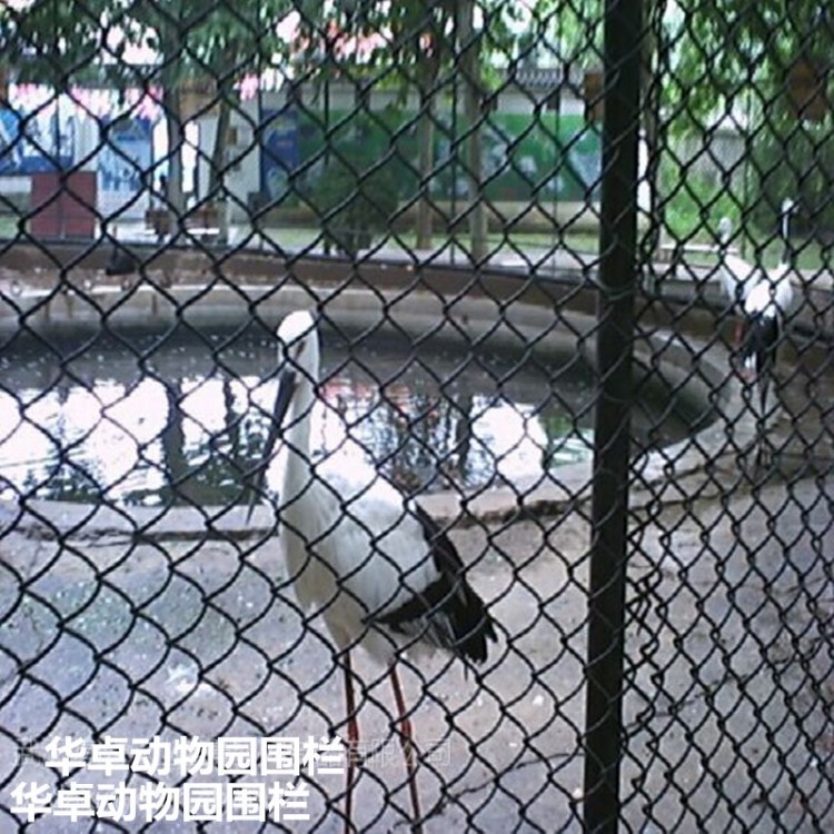 華卓 綠色環(huán)保動(dòng)物園隔離防護(hù)網(wǎng) 養(yǎng)殖鐵絲網(wǎng)圍網(wǎng)