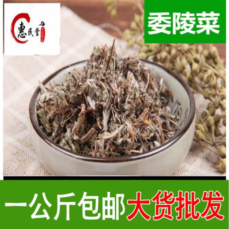 委陵菜 翻白草 蛤蟆草 天青地白根 包郵 農(nóng)產(chǎn)品初加工