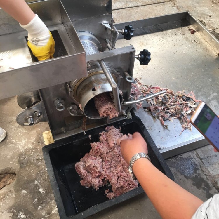 魚泥機 魚肉精濾采肉機 蝦蟹去殼機 螃蟹采肉機魚肉丸子加工設(shè)備