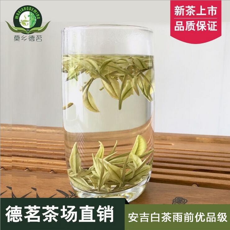 浙江安吉白茶2019年新茶葉散裝簡包雨前精品綠茶原產(chǎn)地直銷批發(fā)