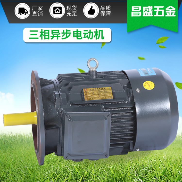 廠家直銷三相異步電動機(jī) 各種機(jī)械設(shè)備4極立式電動機(jī)