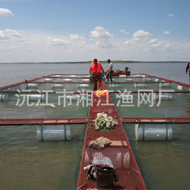 承接各類大型養(yǎng)魚網(wǎng)箱建設 水蛭螞蟥網(wǎng)箱 網(wǎng)箱養(yǎng)魚浮桶大量批發(fā)