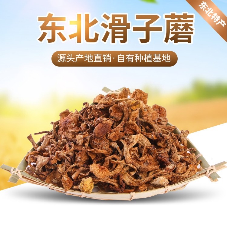 東寧潤鄉(xiāng)東北干貨特產食用菌散貨裝批發(fā)滑子蘑榛蘑500g廠家直銷