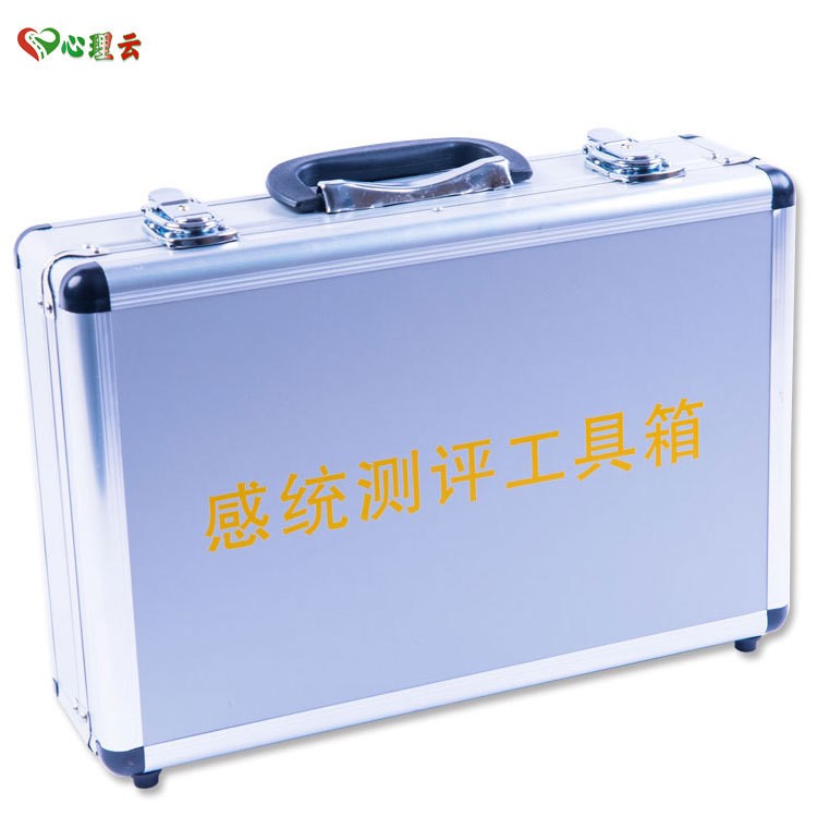 感覺統合感統測試評估測評工具箱3~12歲兒童發育水平發展能力測驗
