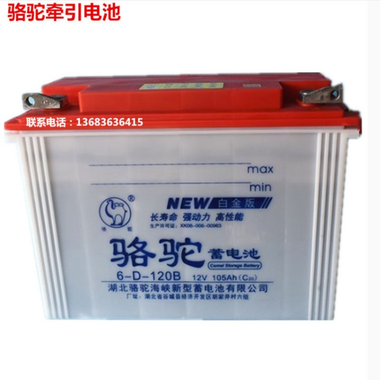 骆驼牌电瓶6-D-120B 12V10h牵引蓄电池电动三轮车运输车电瓶