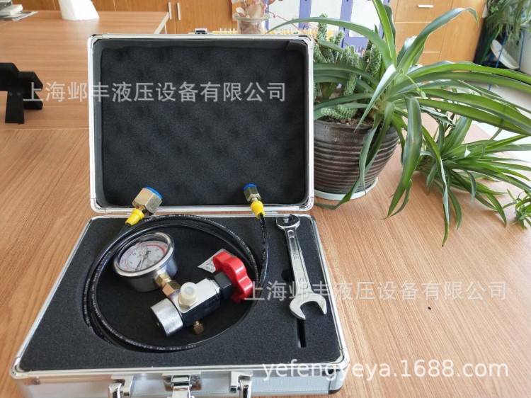 非标定制蓄能器充气工具CQJ-25 8V1