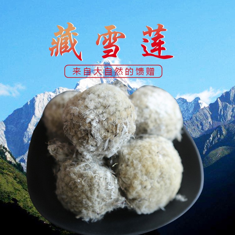 金達(dá)榮 四川阿壩特產(chǎn)藏雪蓮 雪蓮花 中藥材批發(fā) 產(chǎn)地直銷