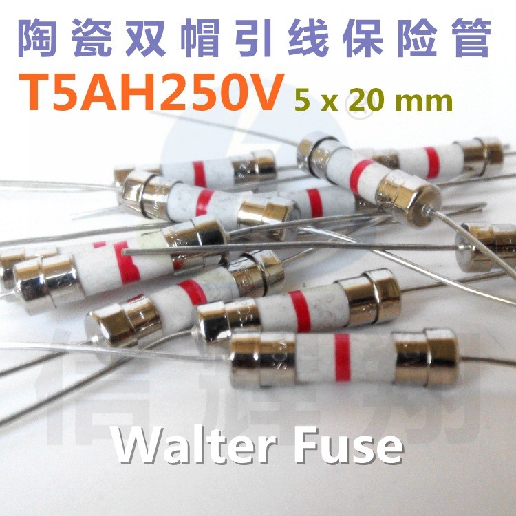 陶瓷雙帽引線5x20mm保險絲管 TH250V 華德保險絲  250V