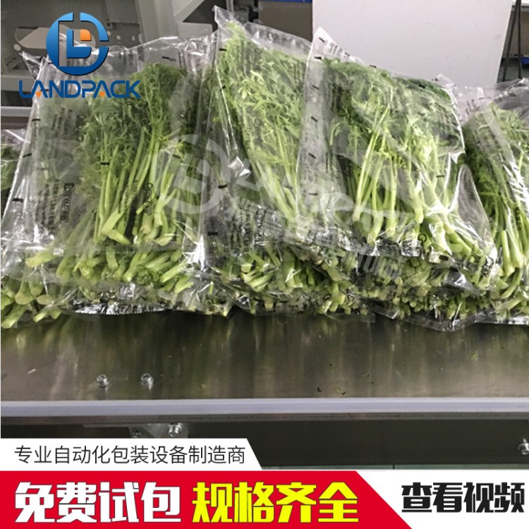 有機(jī)新鮮蔬菜包裝機(jī) 攬德直供大棚蔬菜保鮮防霧枕式自動(dòng)包裝機(jī)械