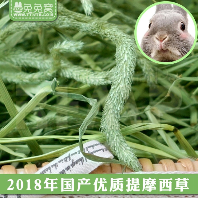 2018兔子提牧草草500g 草糧摩西荷蘭豬飼料甘肅蘭州牧業(yè)