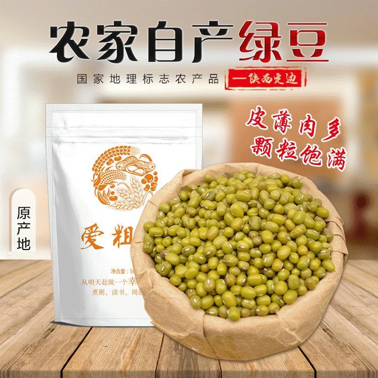 綠豆陜北明綠豆 農(nóng)家特產(chǎn)綠豆明綠豆 五谷雜糧綠豆真空包裝490g