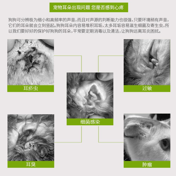 伊耳康寵物滴耳液薩摩金毛犬貓狗狗耳炎耳螨洗耳油