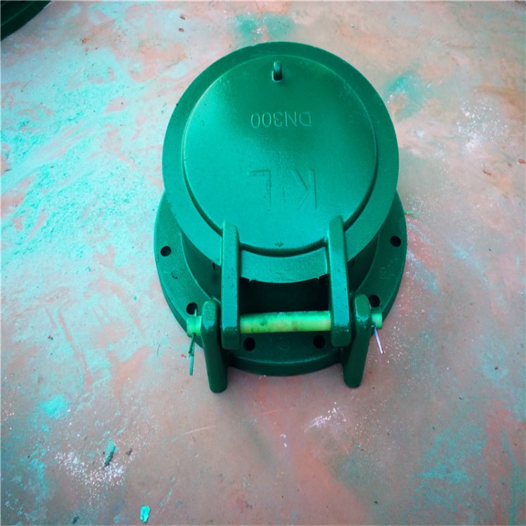 康利，拍門鑄鐵拍門河道倒灌 dn500拍門