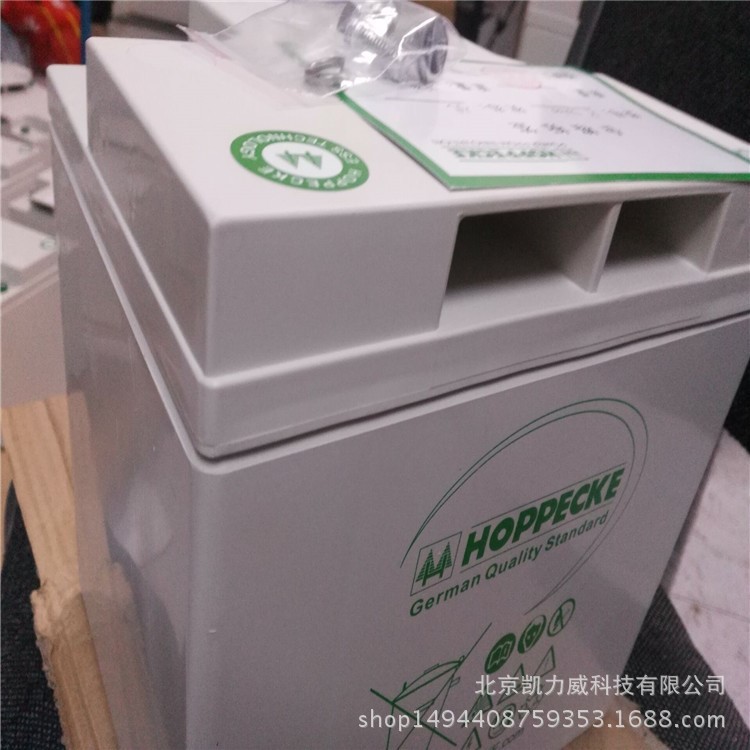 德國松樹蓄電池OPZV300松樹蓄電池2V300AH江西價格