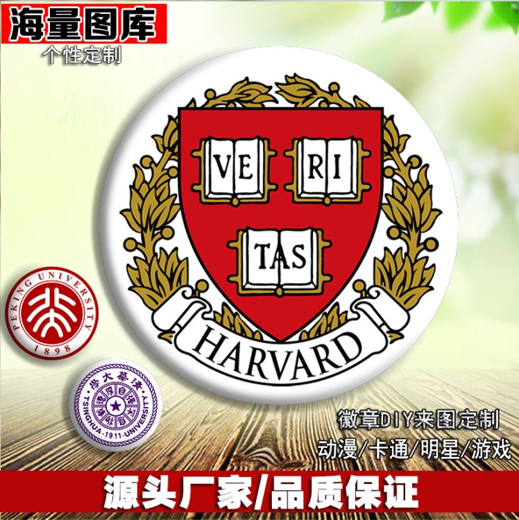 大學徽章校徽馬口鐵胸章定做獎章胸牌勛章紀念章校徽班徽胸批發