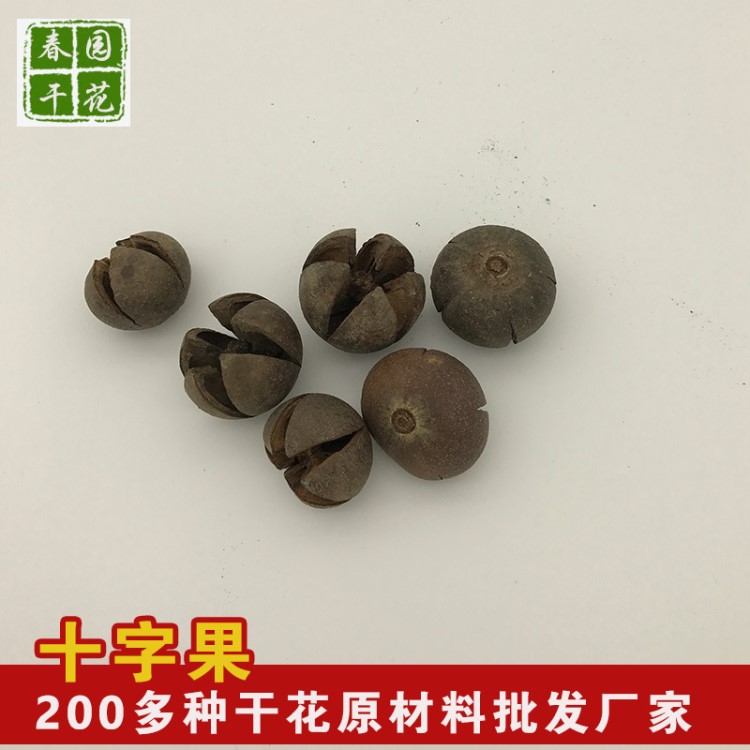 大十字果 花果殼材料荷樹果 開心果DIY手工材料飾品批發(fā)